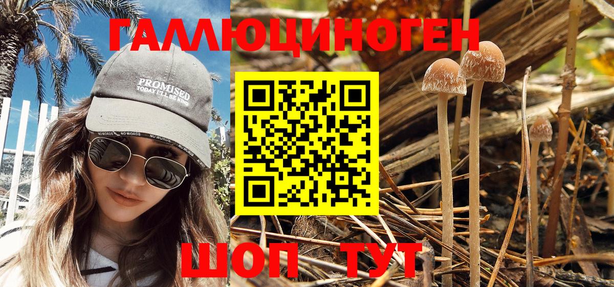 Галлюциногенные грибы GOLDEN TEACHER Котлас