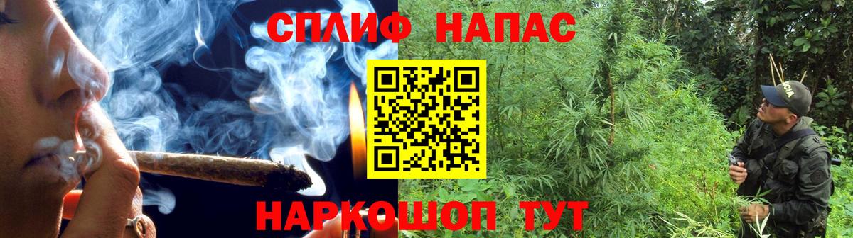 Конопля сатива Котлас